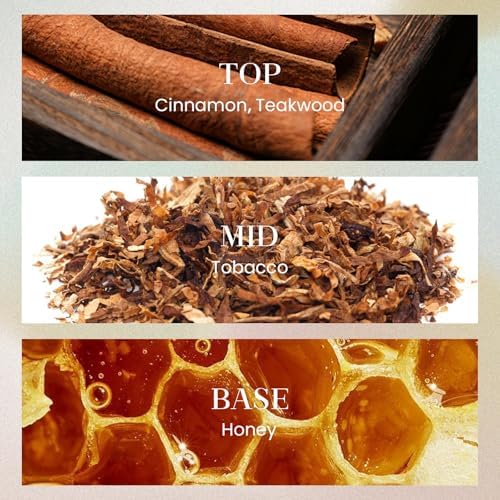 MSENSE 1014 Oz Large Reed Diffuser Set