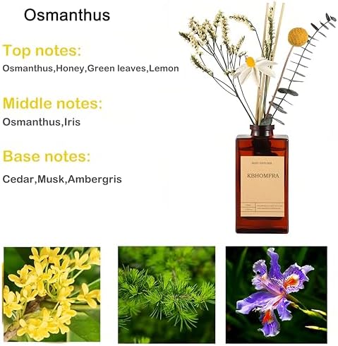 KBHOMFRA Reed Diffuser Set with Dried Flowers