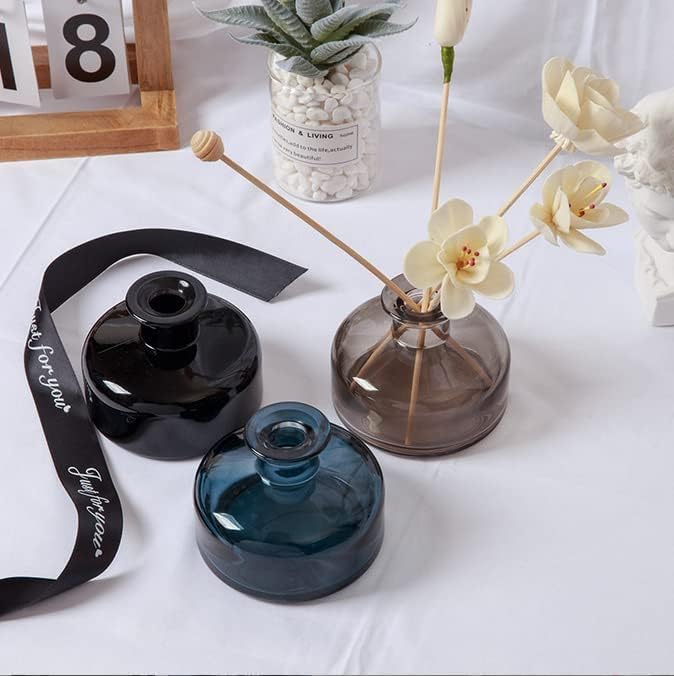 1PCS Glass Diffuser Bottle for Aromatherapy DIY Replacement Set