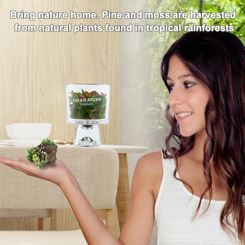 Moss and Pine Aromatherapy Diffuser with Jasmine Scent
