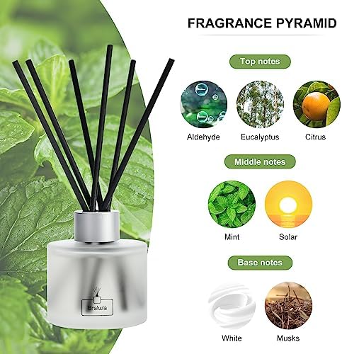 Brakula Reed Diffuser Set - Eucalyptus Mint Scented