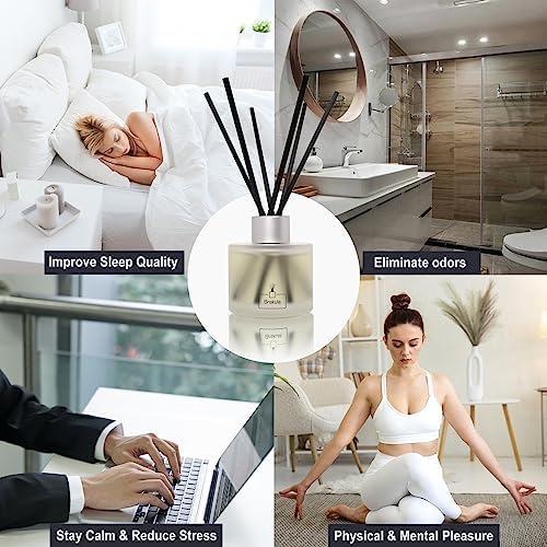 Brakula 2 Pack Reed Diffuser Set - Lemon Verbena Fragrance