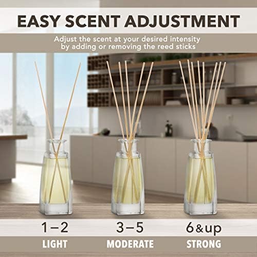 Vanilla Cream Reed Diffuser Set 100ml