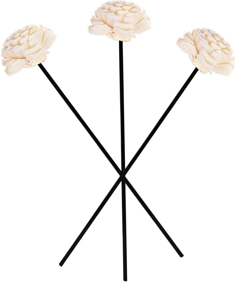 PRETYZOOM 3PCS Dried Flower Diffuser Sticks for Home Fragrance