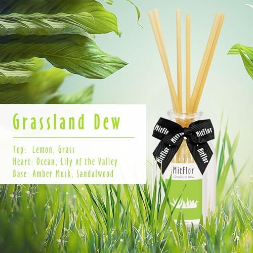 MitFlor Grassland Dew Reed Diffuser Set - 100ml