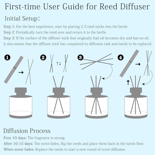 BEHAZEER Sea Salt Reed Diffuser 677OZ Set