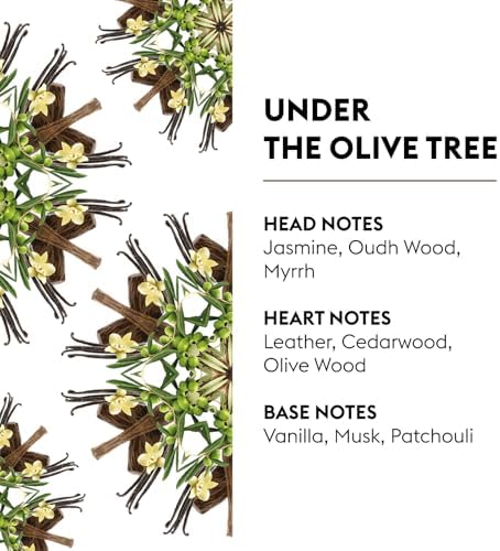 Maison Berger Under The Olive Tree Air Freshener