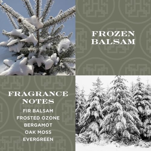 HomeWorx Frozen Balsam Reed Diffuser Set