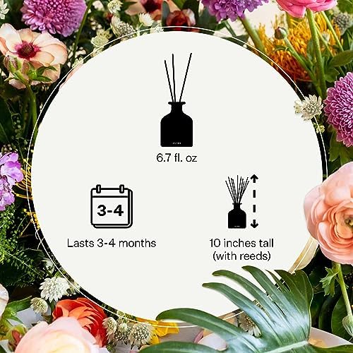 Apotheke Sea Salt Grapefruit Reed Diffuser 67 Fl Oz