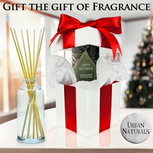 Urban Naturals Sugar Cookies Reed Diffuser Set Fresh Kitchen Scent