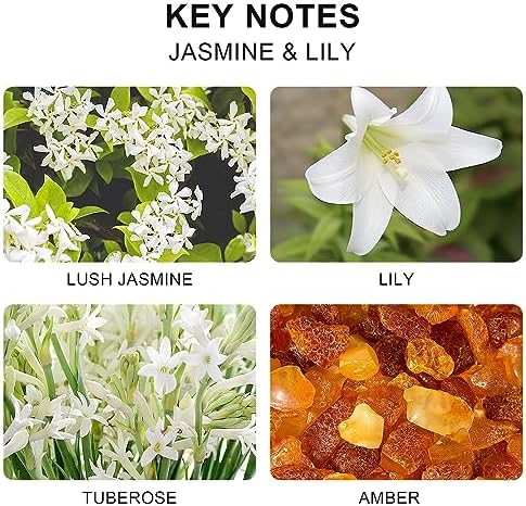 Lodeur Vill Reed Diffuser Set with Jasmine Lily Scent
