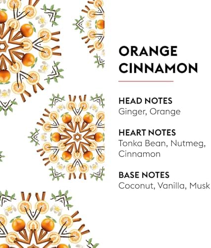 MAISON BERGER Cube Reed Diffuser Orange Cinnamon 1