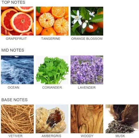 UCC Reed Diffuser Set for Passionate Dating Scent