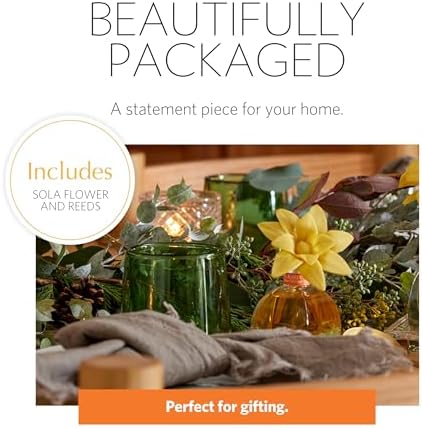 AGRARIA PetiteEssence Reed Diffuser Set 1