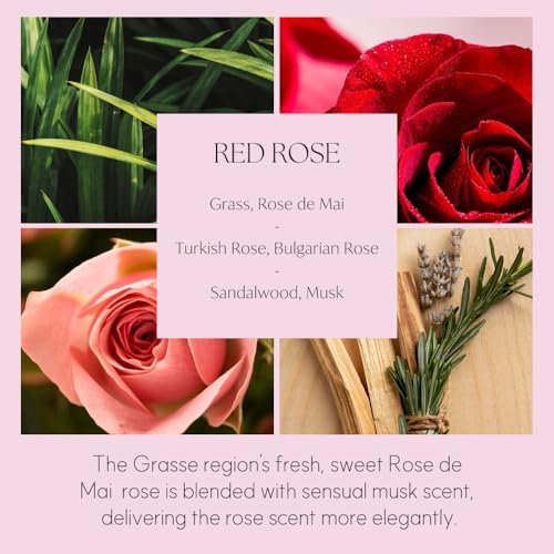 396 St Dahlia Flower Reed Diffuser Set - Black Cherry 200ml