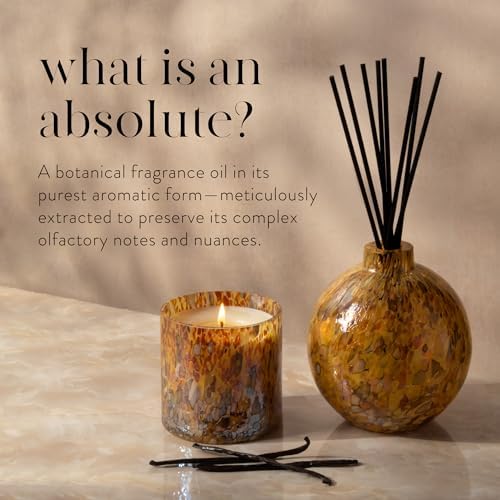 LAFCO New York Absolute Collection Reed Diffuser Set 15 oz
