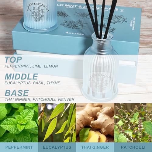 Wild Mint Eucalyptus Reed Diffuser Set 2 Pack