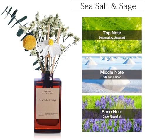 Aeeteek Reed Diffuser Set Sea Salt Sage