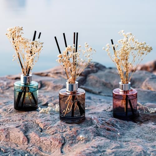 Brakula 3 Pack Reed Diffuser Set with 18 Sticks and 3 Bottles