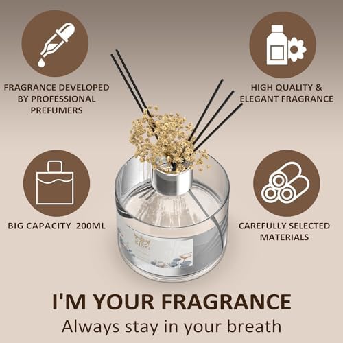 KING OF SCENTS 200ml Pure Cotton Reed Diffuser Set Pack of 3