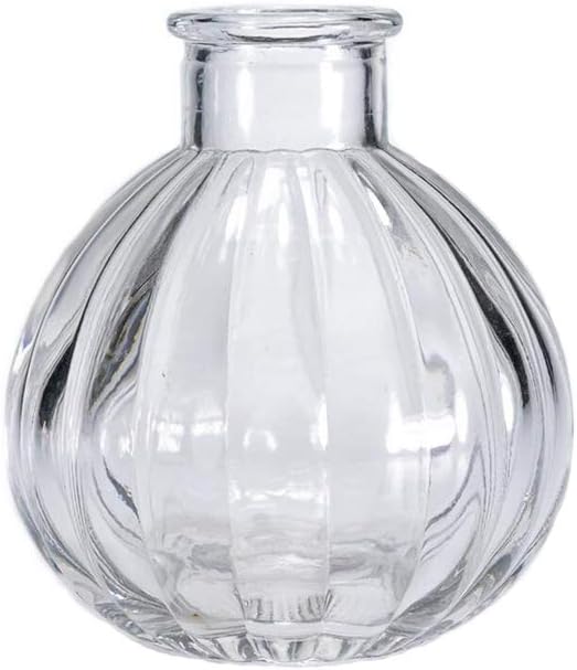 Vipolish Clear Glass Diffuser Bottle for DIY Replacement