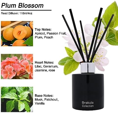 Brakula Reed Diffuser Set - Fresh Apricot Flower Scent 4oz