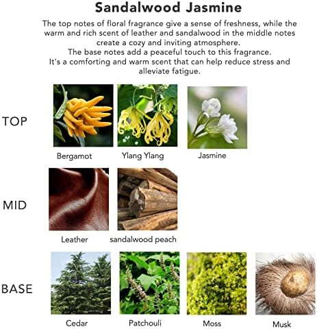 Jasmine Sandalwood Reed Diffuser Set for Home