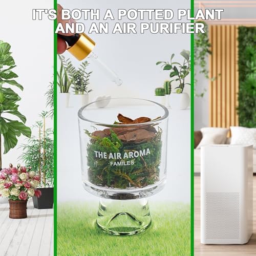 Moss and Pine Aromatherapy Diffuser with Jasmine Scent