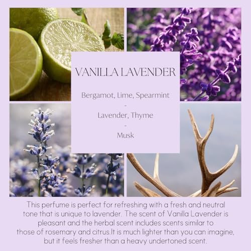 396 St Preserved Babys Breath Reed Diffuser Set Vanilla Lavender