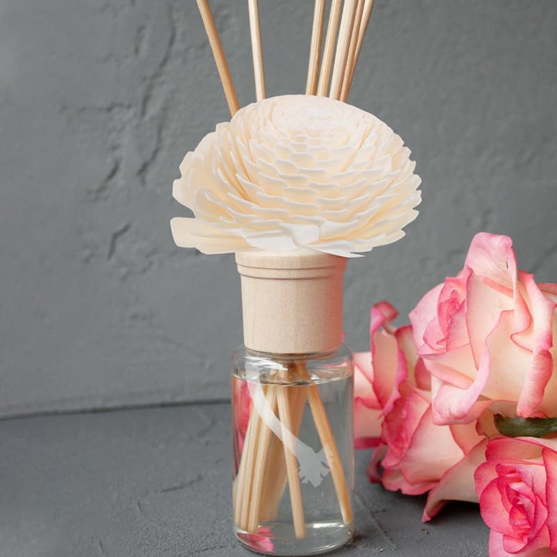 NOLITOY Diffuser with Mixed Sola Flowers and Cotton Reed