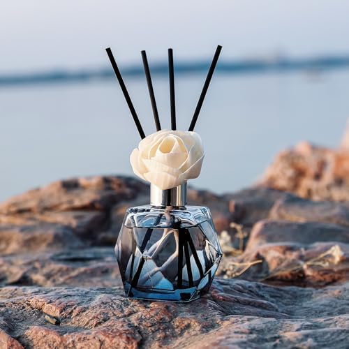 Brakula Reed Diffuser Set with 6 Scents and 8 Sticks