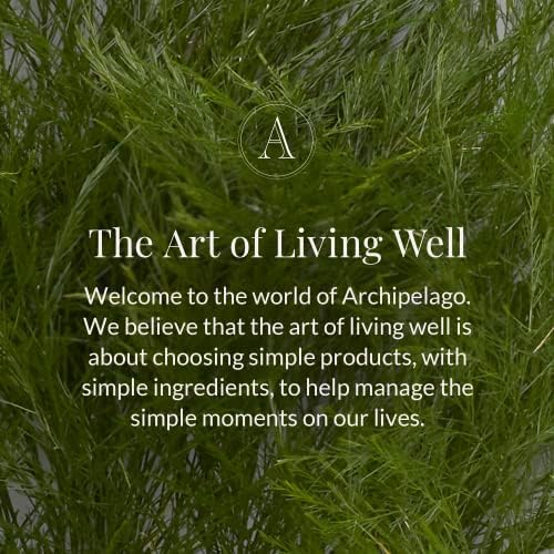 Archipelago Botanicals Lavande Reed Diffuser Set