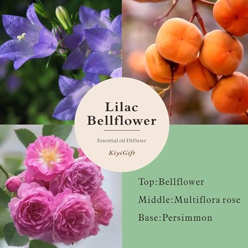 Bellflower Reed Diffuser Set 406oz