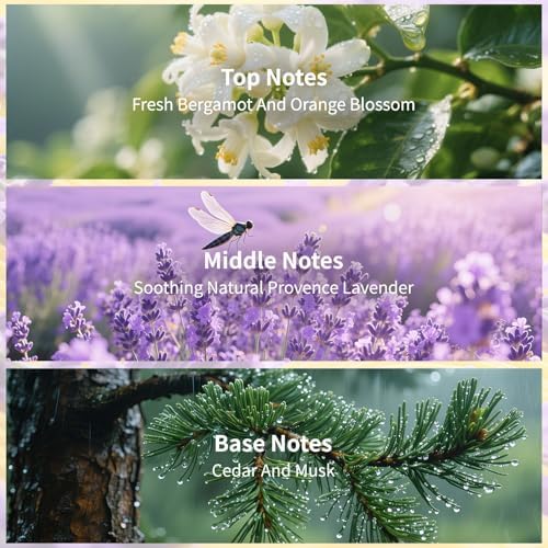 Saussavita Reed Diffuser Set Lavender Scent 710 Oz