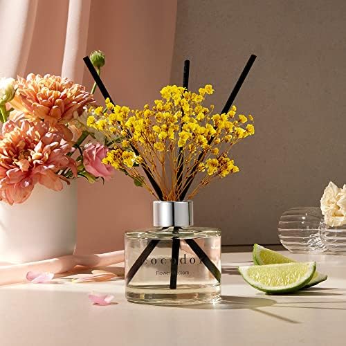 Cocodor Preserved Rose Reed Diffuser Set 67oz