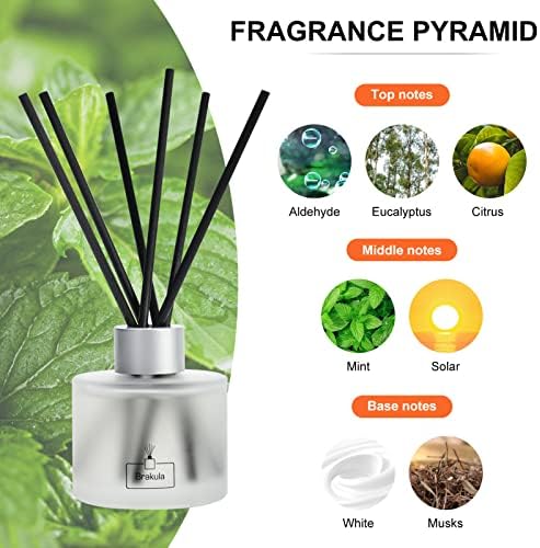 Brakula Eucalyptus Mint Reed Diffuser Set with 8 Sticks