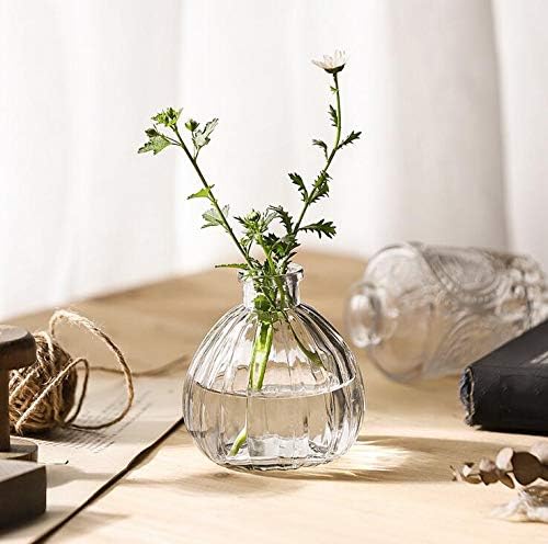 Vipolish Clear Glass Diffuser Bottle for DIY Replacement