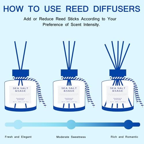 BEHAZEER Sea Salt Reed Diffuser 677OZ Set