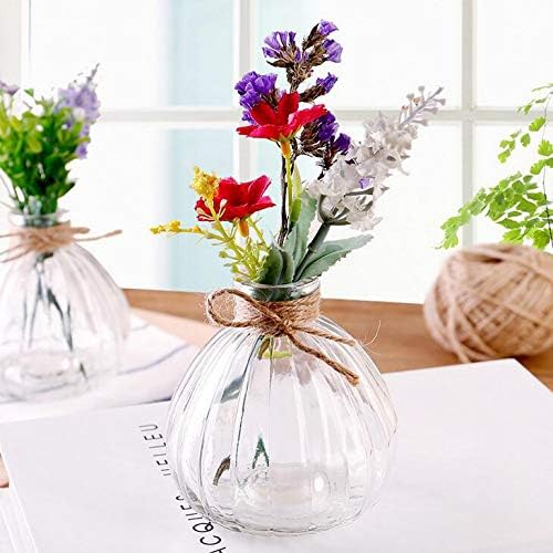 Vipolish Clear Glass Diffuser Bottle for DIY Replacement