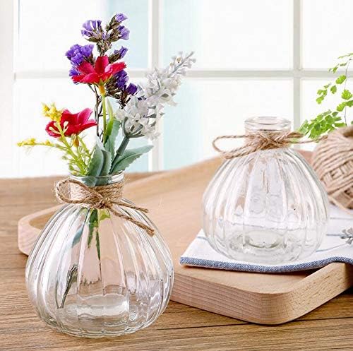 Vipolish Clear Glass Diffuser Bottle for DIY Replacement