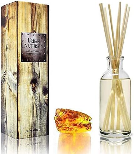 Urban Naturals Warm Vanilla Amber Reed Diffuser Set