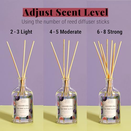 Panier des Sens Fig Tree Reed Diffuser 81 Fl Oz