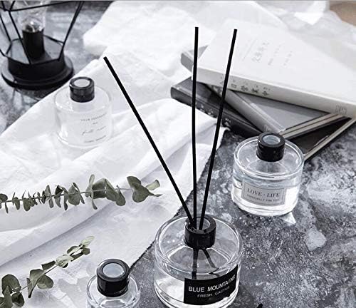 2Pcs Glass Diffuser Bottles for DIY and Wedding Decor
