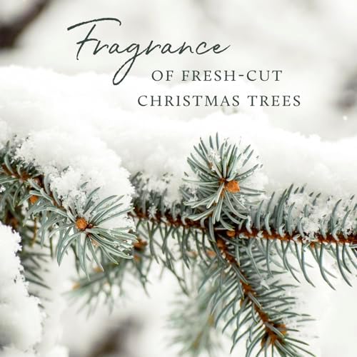 Thymes Frasier Fir Reed Diffuser Set - 4 Fl Oz Gold
