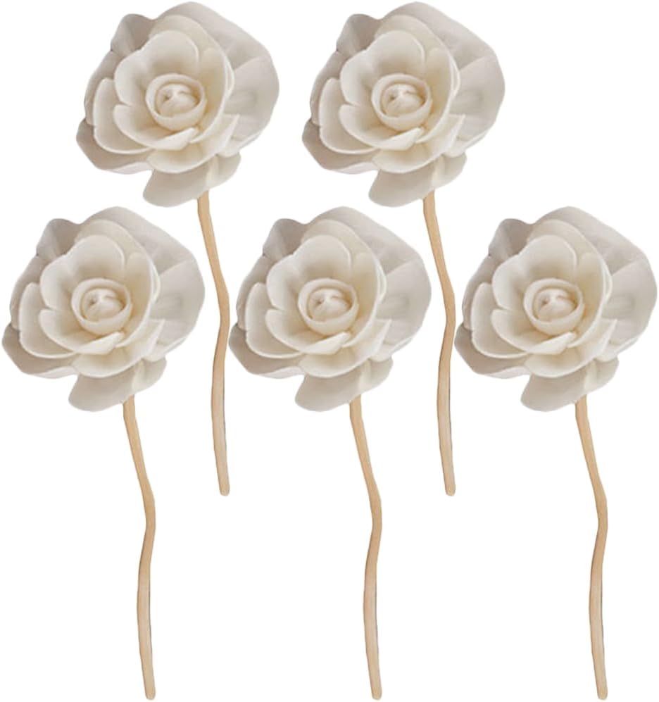 5PCS Aromatherapy Sticks Diffuser Set for Home Decor