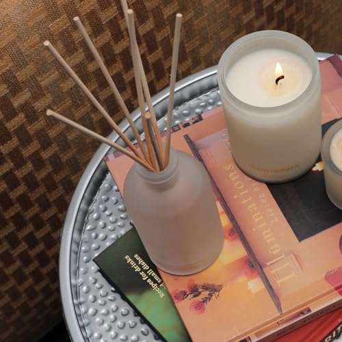 Lifetherapy Transformed Reed Diffuser 8 oz