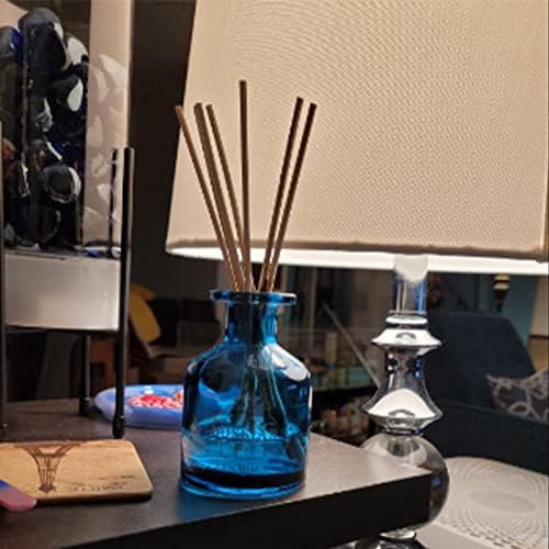 HOSSIAN 10 Pack Reed Diffuser Sticks Set