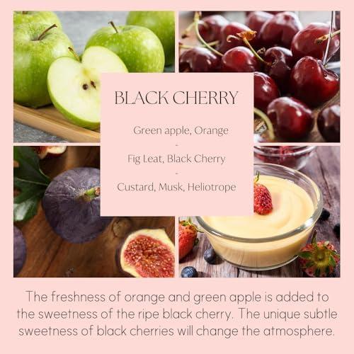 396 St Preserved Babys Breath Diffuser Set Black Cherry 200ml