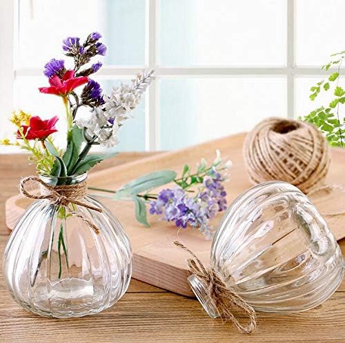 Vipolish Clear Glass Diffuser Bottle for DIY Replacement