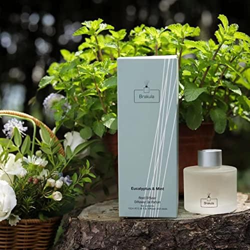 Brakula Eucalyptus Mint Reed Diffuser Set with 8 Sticks